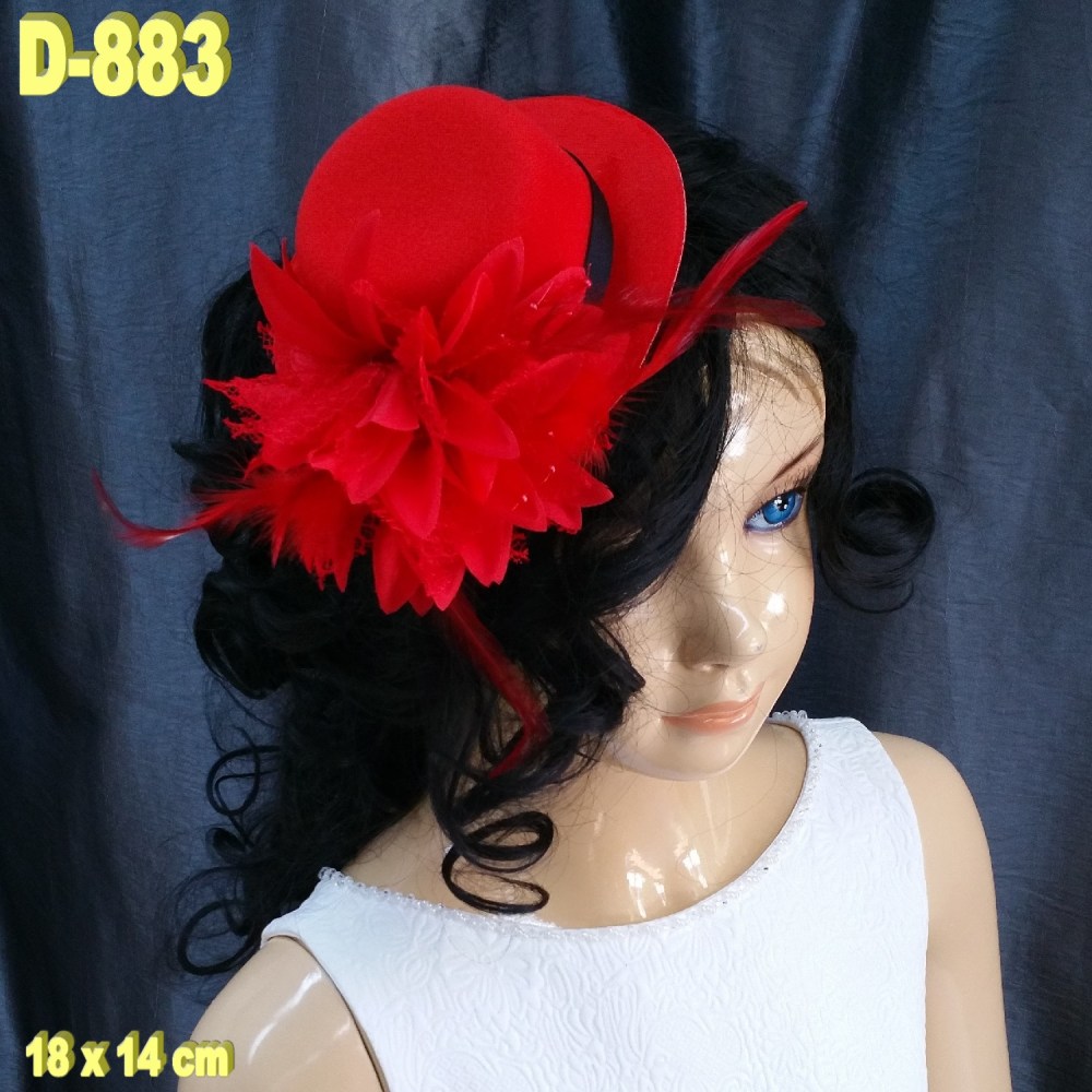 D-883 (1)